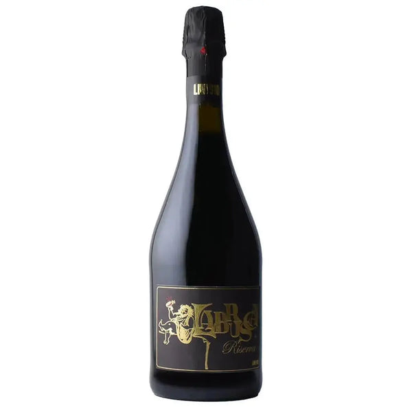 Lini 910 Lambrusco Riserva NV-Best Sparkling Wine-Accent Wine-Columbus Wine-Wine Shop-Wine Store-Wine Pairing-Wine Gift-Wine Class-Wine Club-Downtown Columbus-Sommelier