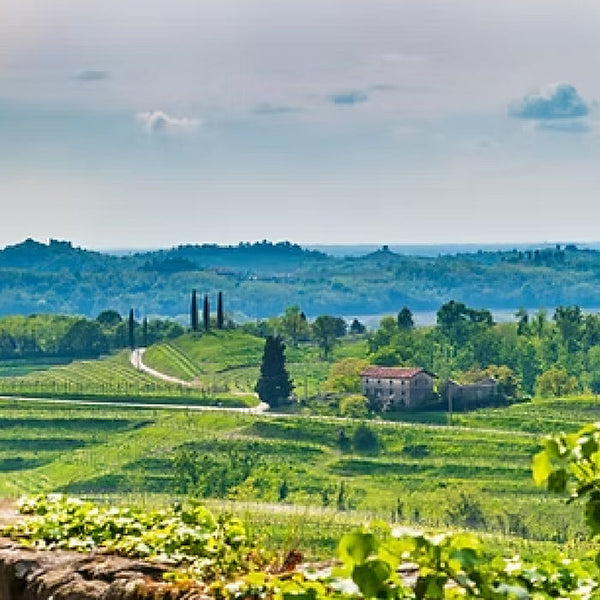 Wine Class: Italian Wine Renaissance in Friuli w/ Gregory Stokes-Accent Wine-Columbus Wine-Wine Shop-Wine Pairing-Wine Gift-Wine Class-Wine Club-Downtown Columbus-Sommelier