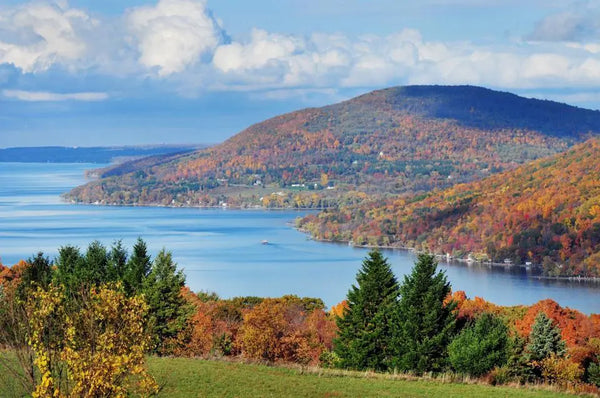 Visiting the Finger Lakes Accent