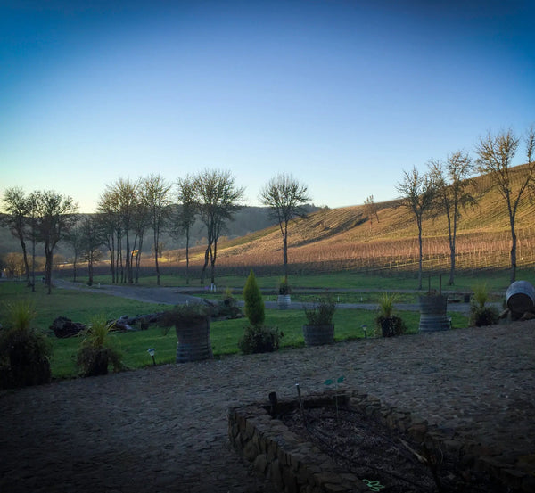 Willamette Valley - Putting the Yay back into Chardonnay Accent