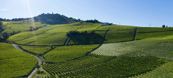 Trediberri — The New School Is Old School Accent