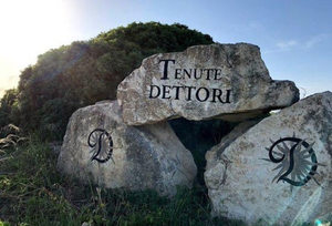 Tenute Dettori: Cannonau in a way you haven't experienced AccentColumbus Ohio Wine Shop Wine Store Wine Tasting Wine Classes