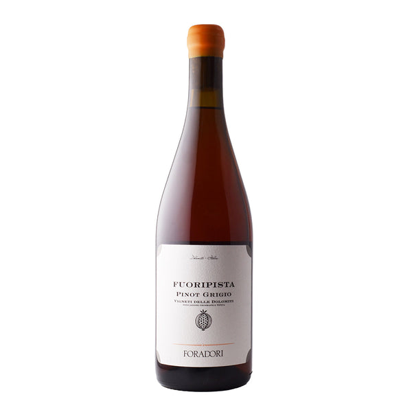 2022 Foradori "Fuoripista" Pinot Grigio Orange Wine-Accent Wine-Columbus Wine-Wine Shop-Wine Pairing-Wine Gift-Wine Class-Wine Club-Downtown Columbus-Sommelier