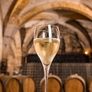 Wine Class: Sparkling Wine 101-Accent Wine-Columbus Wine-Wine Shop-Wine Pairing-Wine Gift-Wine Class-Wine Club-Downtown Columbus-Sommelier