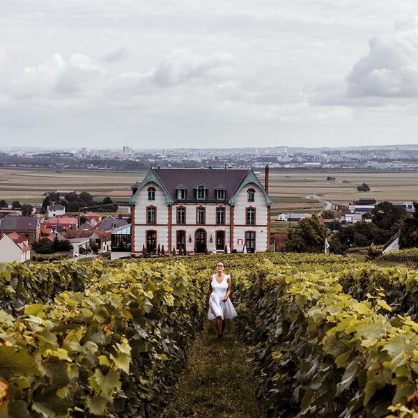 Wine Class: Champagne Masterclass-Accent Wine-Columbus Wine-Wine Shop-Wine Pairing-Wine Gift-Wine Class-Wine Club-Downtown Columbus-Sommelier