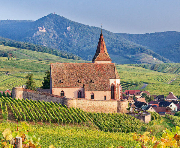 Wine Class: The Wines of Alsace w/ Emma Criswell  Accent Wine ClassColumbus Ohio Wine Shop Wine Store Wine Tasting Wine Classes